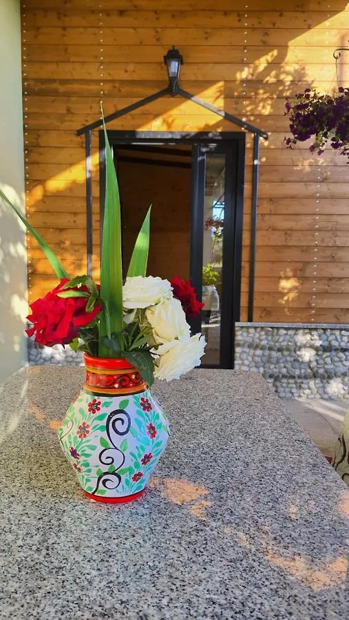 Room With Private Garden Shkoder