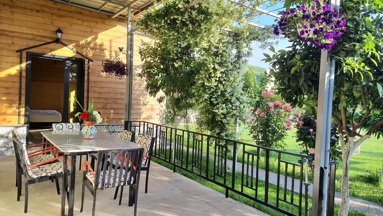 Room With Private Garden Shkoder 0*,